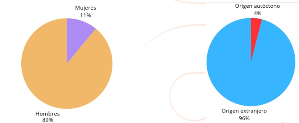 GRAFICO_PSH26