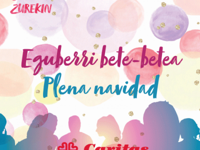 Campaña 50 aniversario navidad