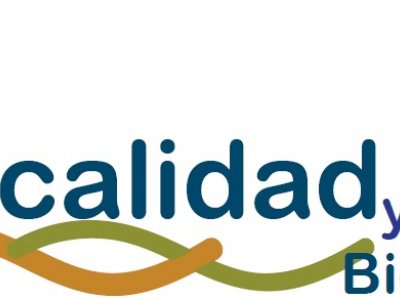 CURSO FISCALIDAD