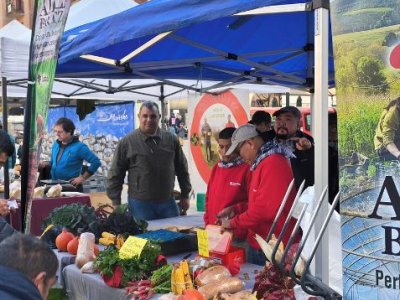 Inclusión comunitaria