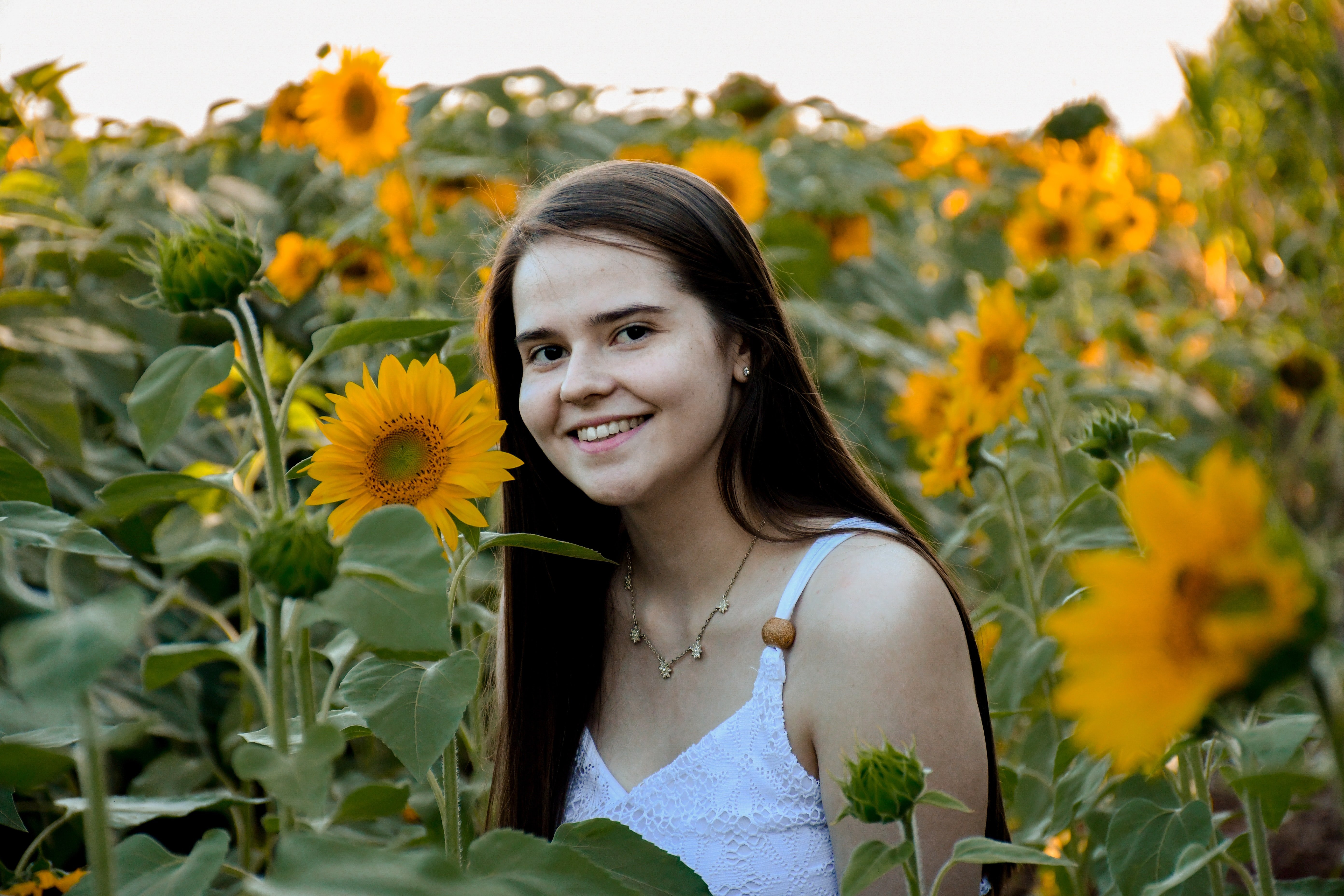 niña entre girasoles