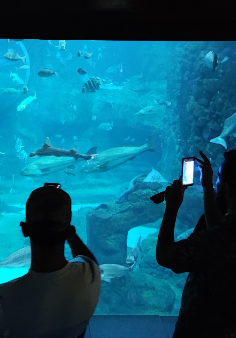 aquarium