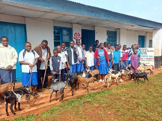 kivu del sur