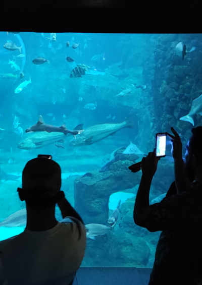 aquarium