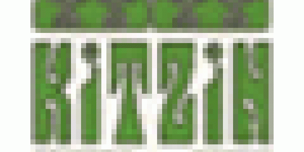 KITZIN